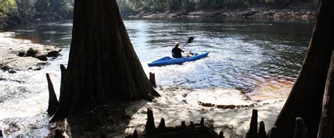 Suwannee River State Park | Florida State Parks