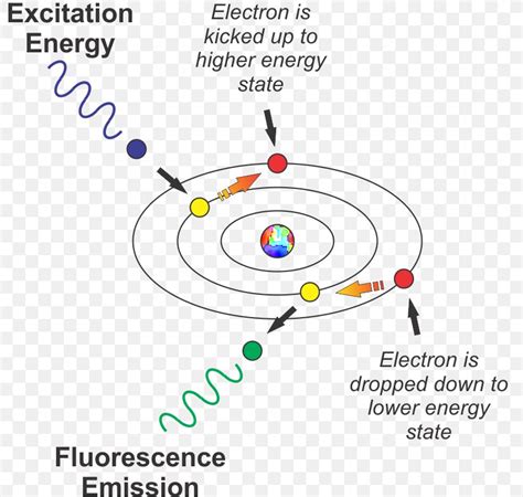 Light Fluorescence Electron Excitation Excited State, PNG, 793x779px ...