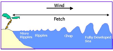 The formation of fully developed sea waves (Url-1) | Download Scientific Diagram