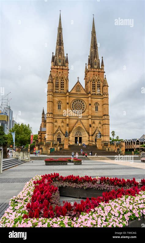 St Mary's Cathedral is the cathedral church of the Roman Catholic ...