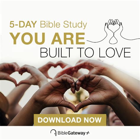 Discover Why People Love Bible Gateway Plus – Learn How It Can Enhance ...