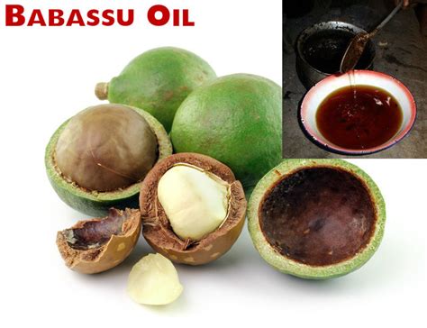 Babassu Oil Benefits and Uses for Skin, Hair and Health - Stylish Walks