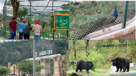 Jammu’s Jambu Zoo Welcomes Inmates Of 17 Species – Kashmir Observer