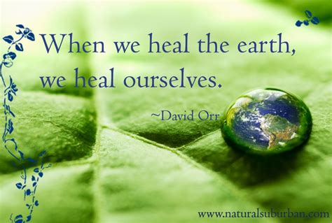 When we heal the earth, we heal ourselves. | Environment quotes, Environment day quotes, Earth ...