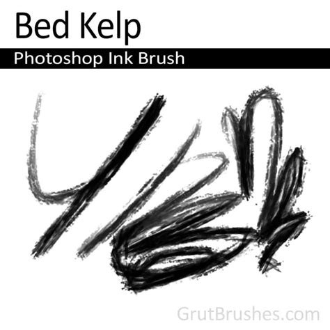 Bed Kelp - Photoshop Ink Brush - Grutbrushes.com