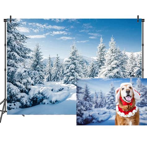 Buy CSFOTO Polyester 7x5ft Winter Scene Photo Backdrop Winter ain ...