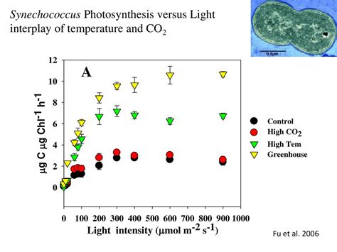 Chemical and Physical Oceanography - ppt download