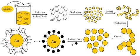 Analytica | Free Full-Text | Gold Nanoparticles: A Didactic Step-by ...