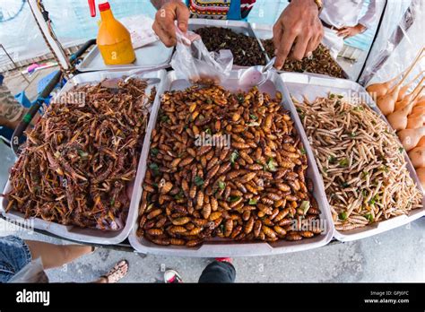 Fried insects, Bugs fried on Street food in thailand Stock Photo - Alamy