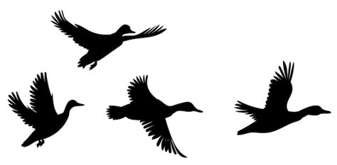 Premium Vector | Flock of flying ducks silhouette isolated vector