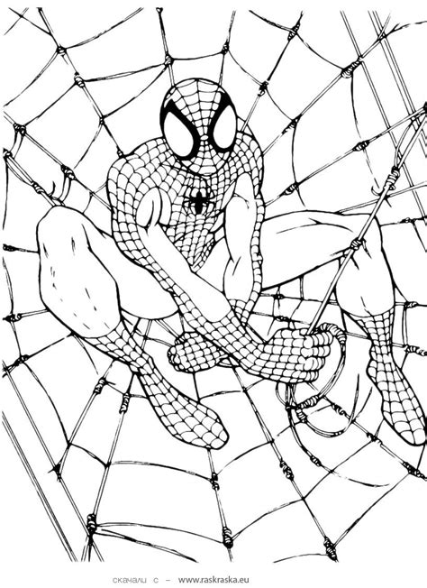 Spiderman Coloring Pages at GetColorings.com | Free printable colorings pages to print and color