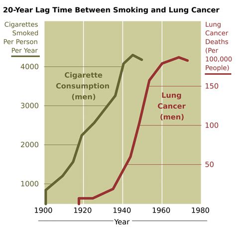 13.6 Smoking and Health – Human Biology