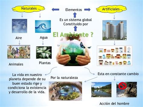 Javier ocando gestion ambiental