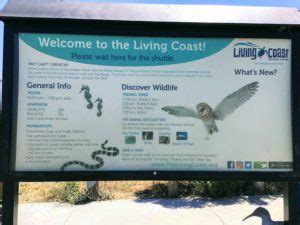 Touring The Living Coast Discovery Center – San Diego Beach Secrets