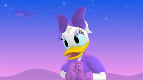 23 Facts About Daisy Duck (Disney) - Facts.net