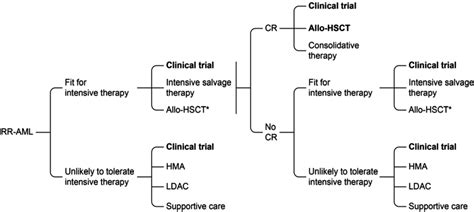 relapsed / refractory AML. Jiangsu Hengrui Medicine Co. – All About Drugs