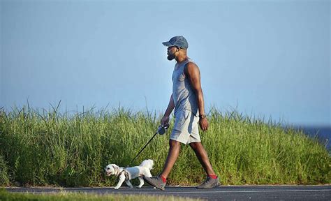 Study examines COVID among dog walkers