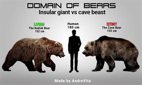 Accurate Size Comparison Between The Giant Short-faced Bear, 58% OFF