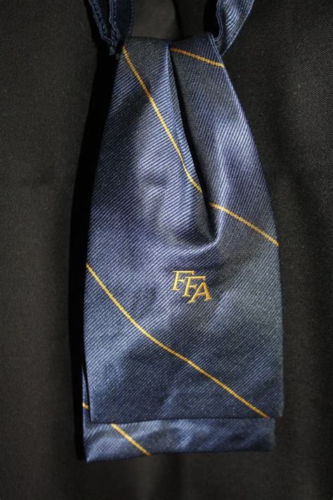 Official FFA Embroidered Water Fall Scarf / FFA Tie | Fall scarves ...