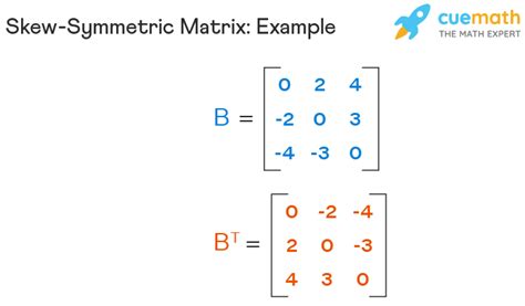 Skew Symmetric Matrix - Definition, Properties, Theorems, Examples