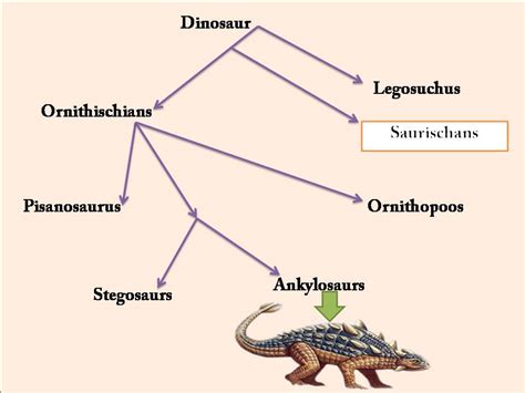 Ankylosaurus dinosaur, Facts | Pictures - Ankylosaurus Habitat