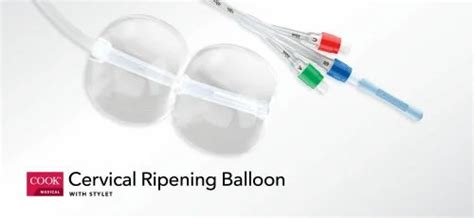 Cook Cervical Ripening Balloon with Stylet at Rs 3000 in Chennai | ID: 2851662582462