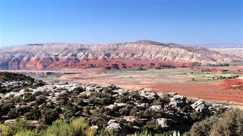 Major Deserts in the US: Mojave, Sonoran, Chihuahan, Great Basin