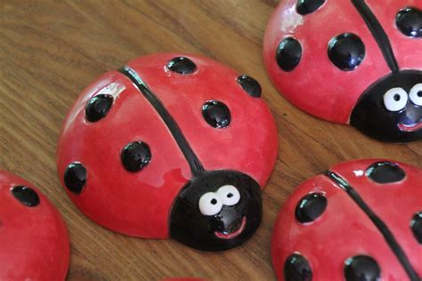 Ladybirds, made by me as a special request from a special little nephew! | Ladybird, Decor ...