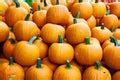 White Pumpkins Free Stock Photo - Public Domain Pictures