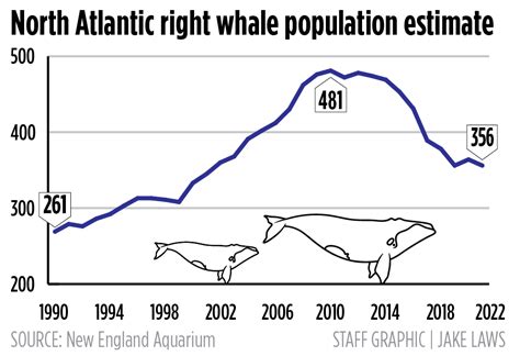 Right whale population levels off after steep decline, but threats remain