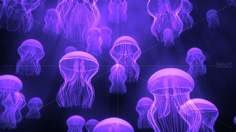 Glowing Jellyfish Wallpapers (67+ images)