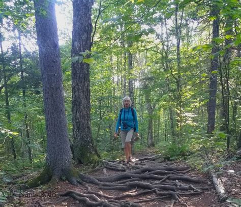 Hiking in Canada: Fundy National Park, New Brunswick - The Seeker, Magi Nams