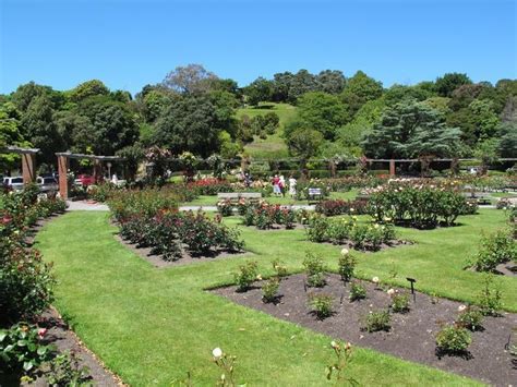 Wellington Botanic Garden in Wellington