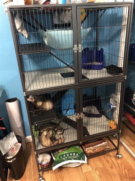 Is there a larger cage I can buy? I can’t seem to find any online. Ideas? : r/ferrets