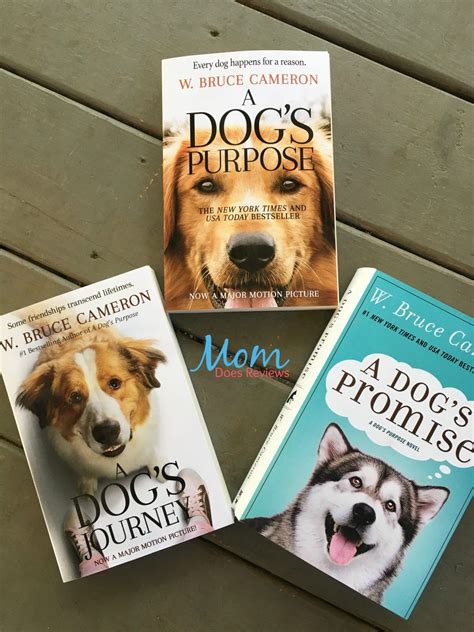 W. Bruce Cameron Will Captivate Readers This Christmas#MegaChristmas19 | A dogs purpose, Dog ...