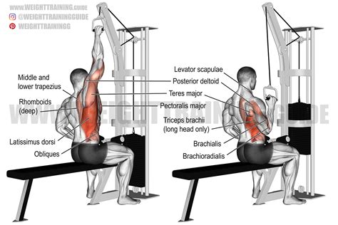 One-arm lat pull-down exercise guide and video | Weight Training Guide