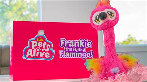 Frankie The Funky Flamingo Pets Alive H5Kids - YouTube