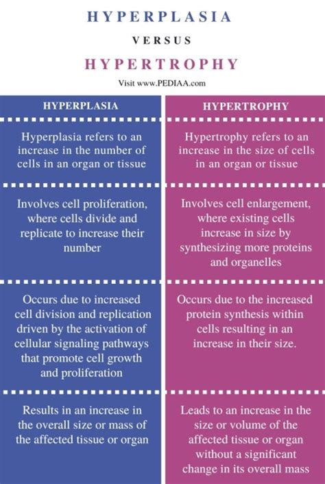 What is the Difference Between Hyperplasia and Hypertrophy - Pediaa.Com