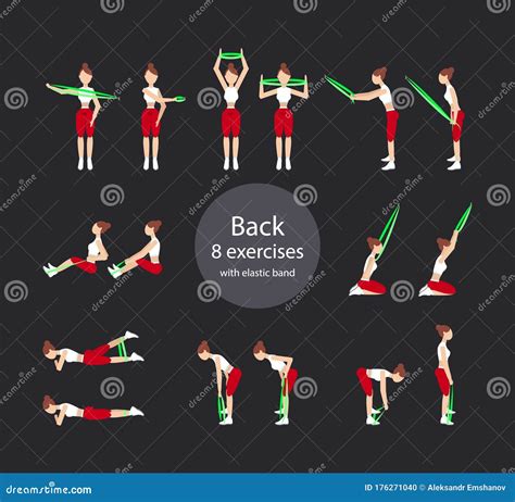 Girl Exercises with Elastic Band. Exercises for the Back Muscles . Stock Illustration ...