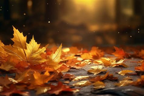 Autumn leaves background 27003985 Stock Photo at Vecteezy