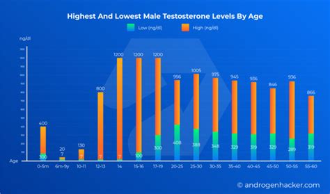 Infographic : Testosterone levels by age chart for men - Infographic.tv - Number one ...