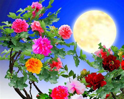 Beautiful flowers and full moon - Puzzle Factory