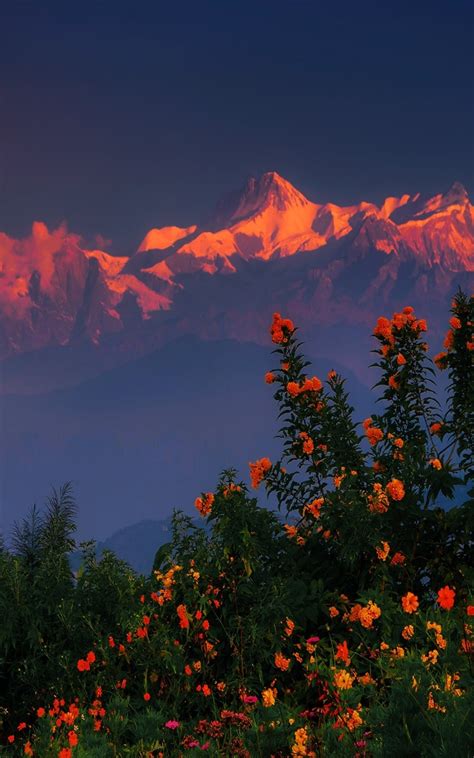 1200x1920 Resolution Himalayas Mountains Nepal Region 1200x1920 Resolution Wallpaper ...