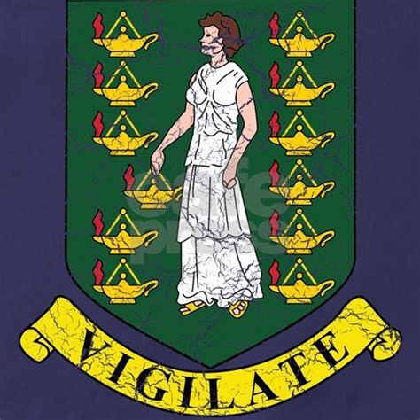 British Virgin Islands Coat Of Arms Apron (dark) by Coat Of Arms - CafePress