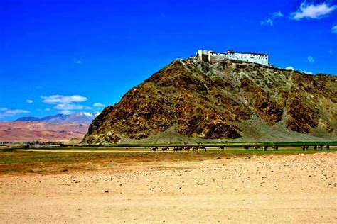 Hanle Monastery in Ladakh | Hanle Monastery Tour | Hanle Monastery Map ...