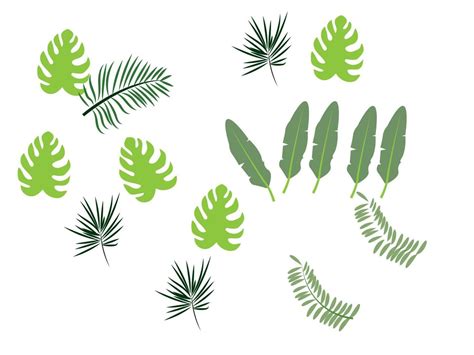 tropical leaves background 7527410 Vector Art at Vecteezy