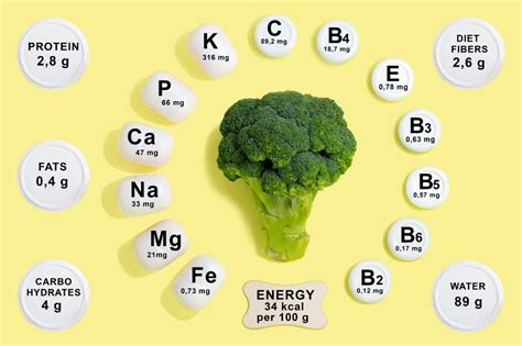 Get to Know the 22 Different Types of Broccoli - ChowTray