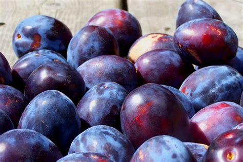 A Simple Method for Pitting Plums Faster • a traditional life