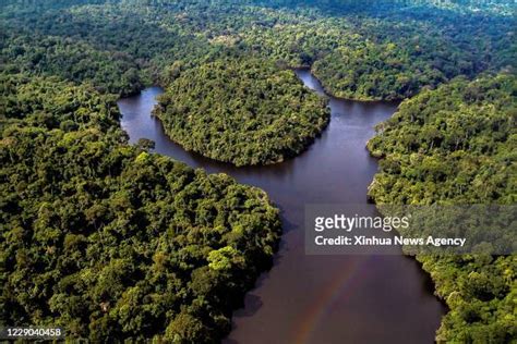 Dja Faunal Reserve Photos and Premium High Res Pictures - Getty Images