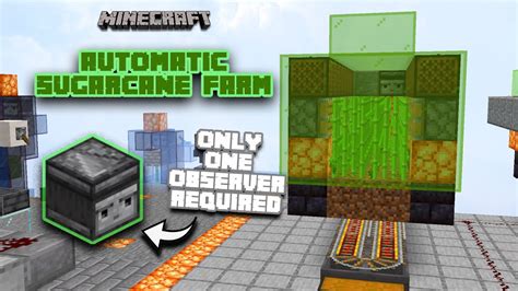 EASIEST SUGARCANE FARM - Tutorial | Minecraft 1.21 - YouTube